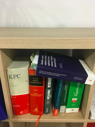 Agnieszka Zalewska Komornik Sądowy przy Sądzie Rejonowym dla Łodzi - Widzewa w Łodzi